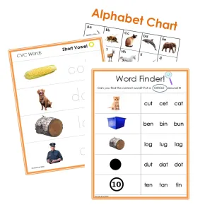 25-Page Beginning Reading Phonics CVC Worksheet Set DOWNLOAD