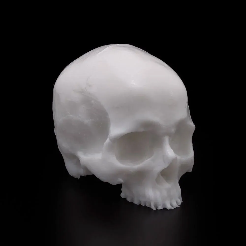 A Pound of Flesh Skull