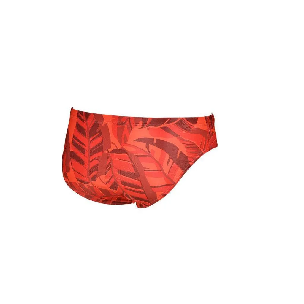 Arena Tropicals Brief