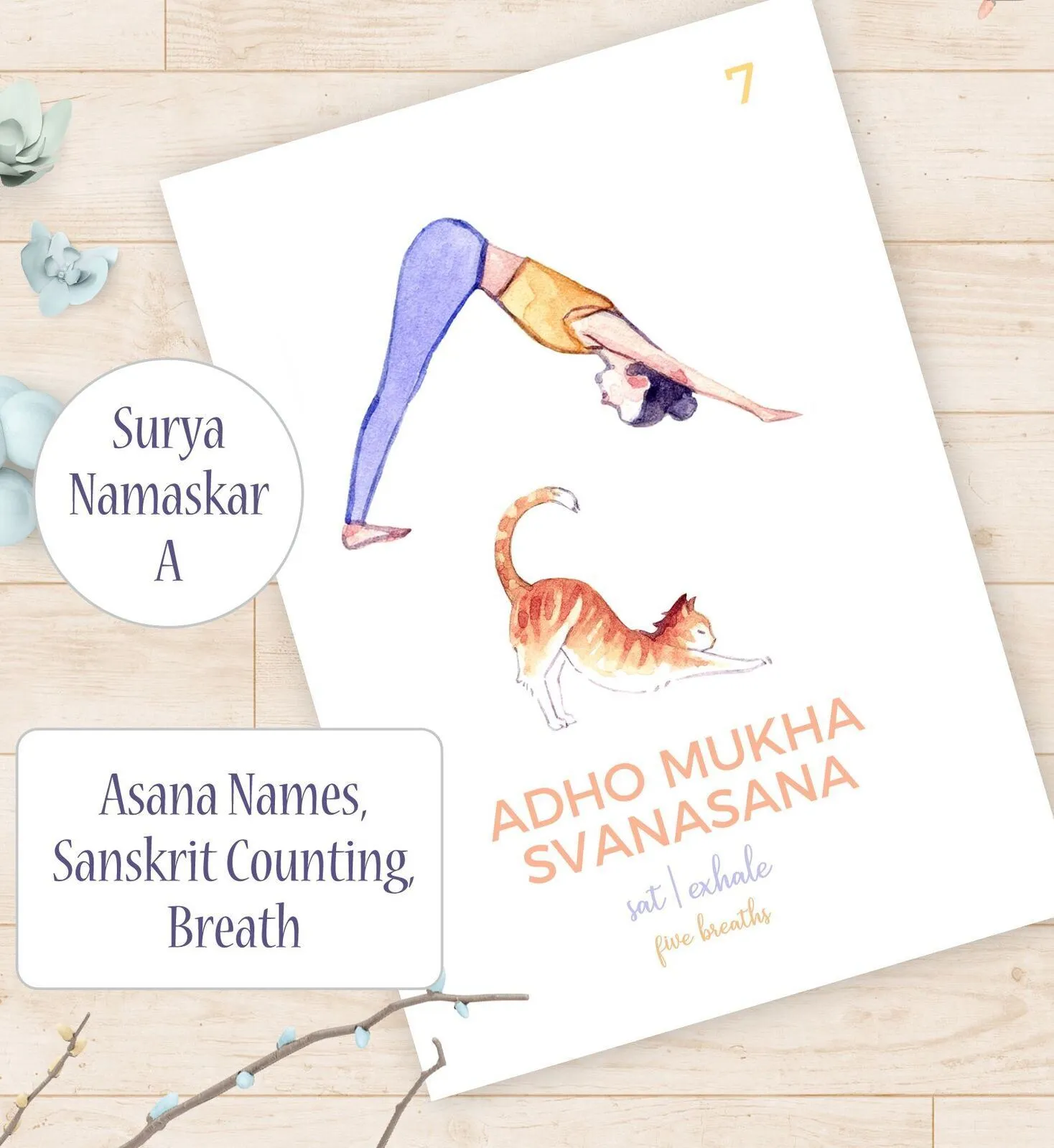 Ashtanga Yoga Practice Cards: The Primary Series