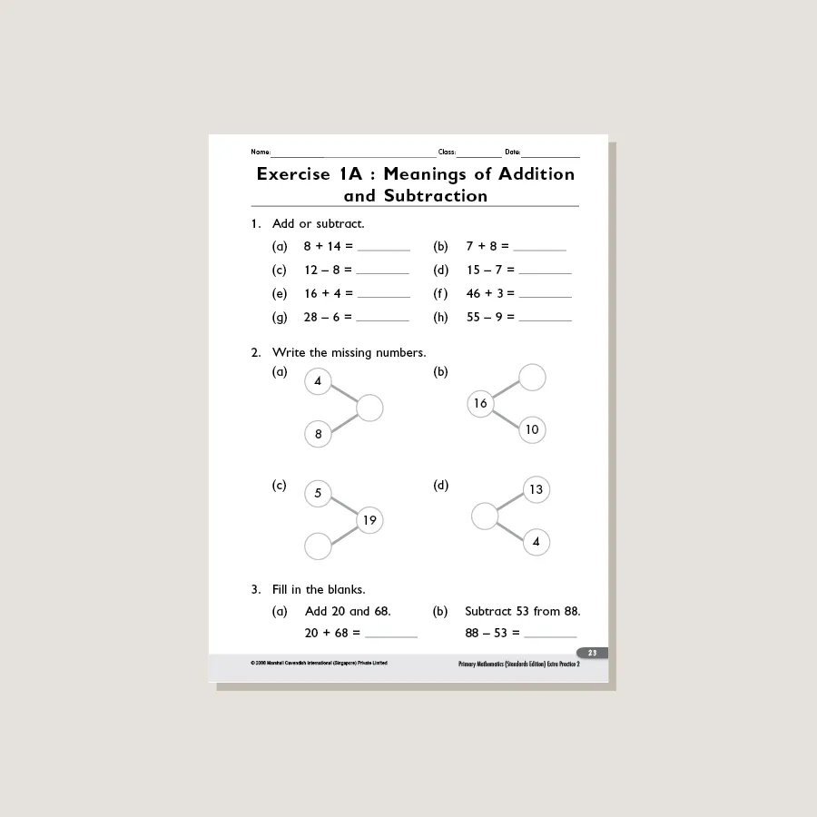 Extra Practice Standards Edition Grade 2 - Blemished