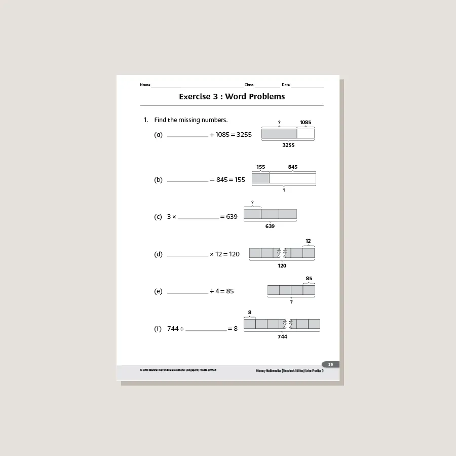 Extra Practice Standards Edition Grade 5 - Blemished