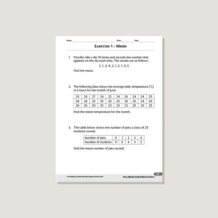 Extra Practice Standards Edition Grade 6 - Blemished