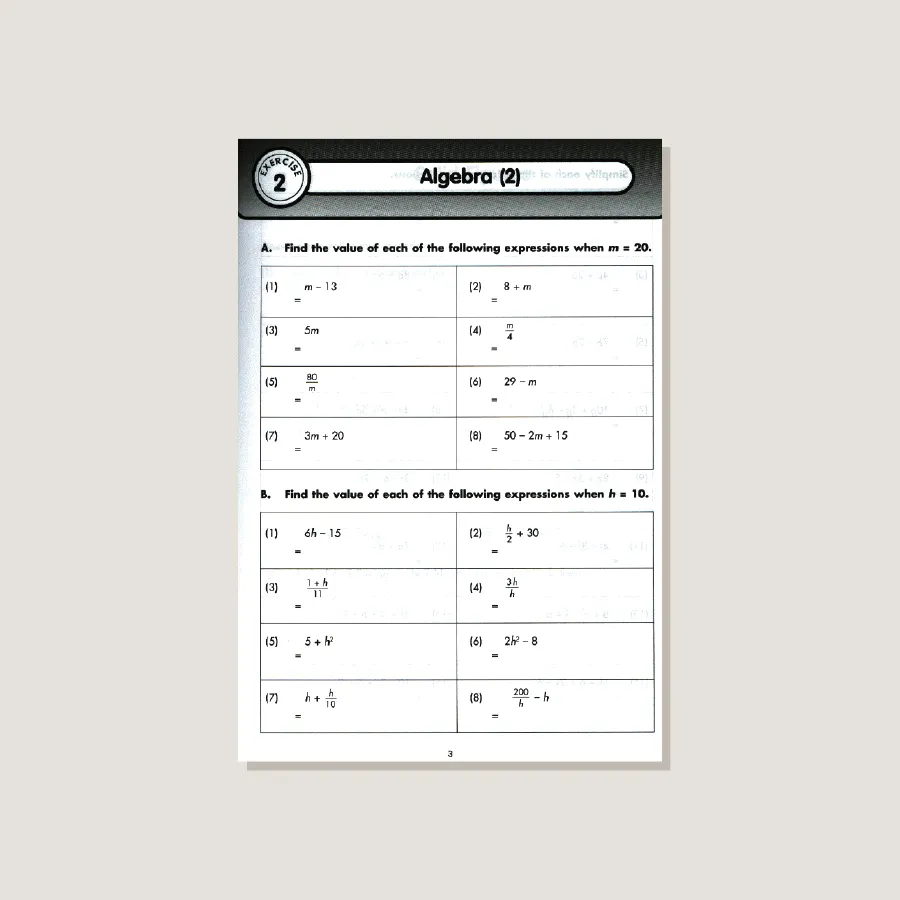 Extra Practice U.S. Edition Grade 6 - Blemished