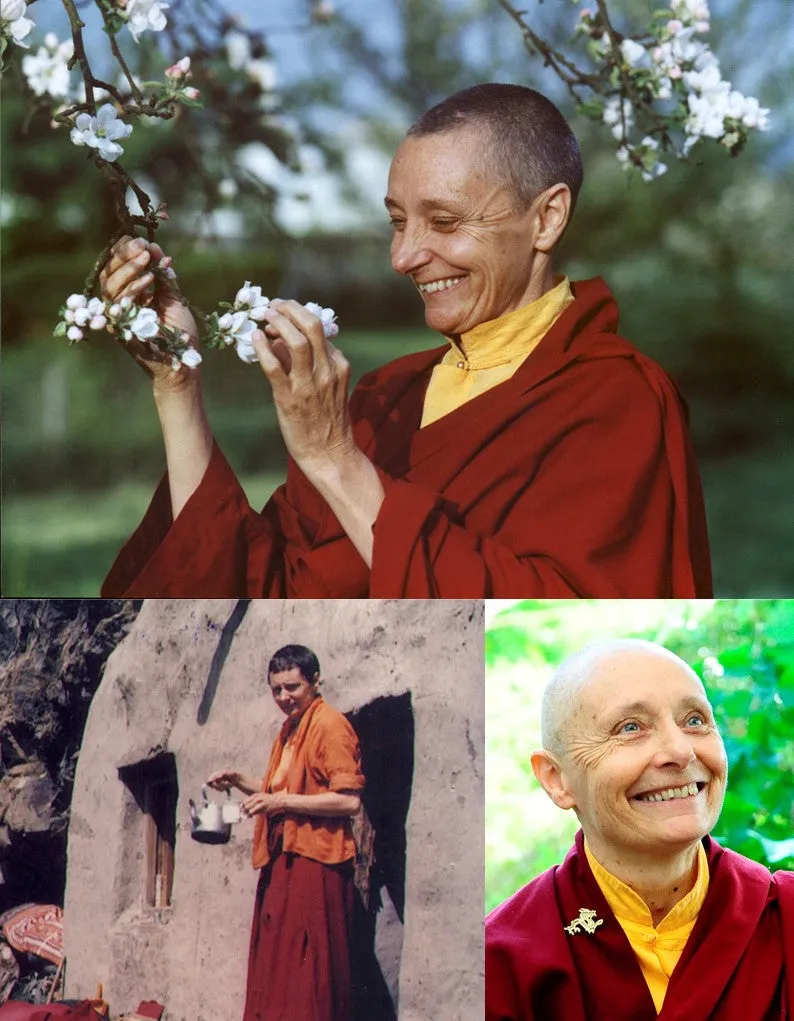 Into The Heart of Life by Jetsunma Tenzin Palmo