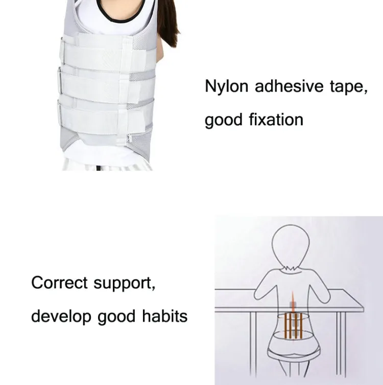 Mesh Style Thoracolumbar Fixation Belt Strap Type Protective Gear Without Airbag, Specification: XL