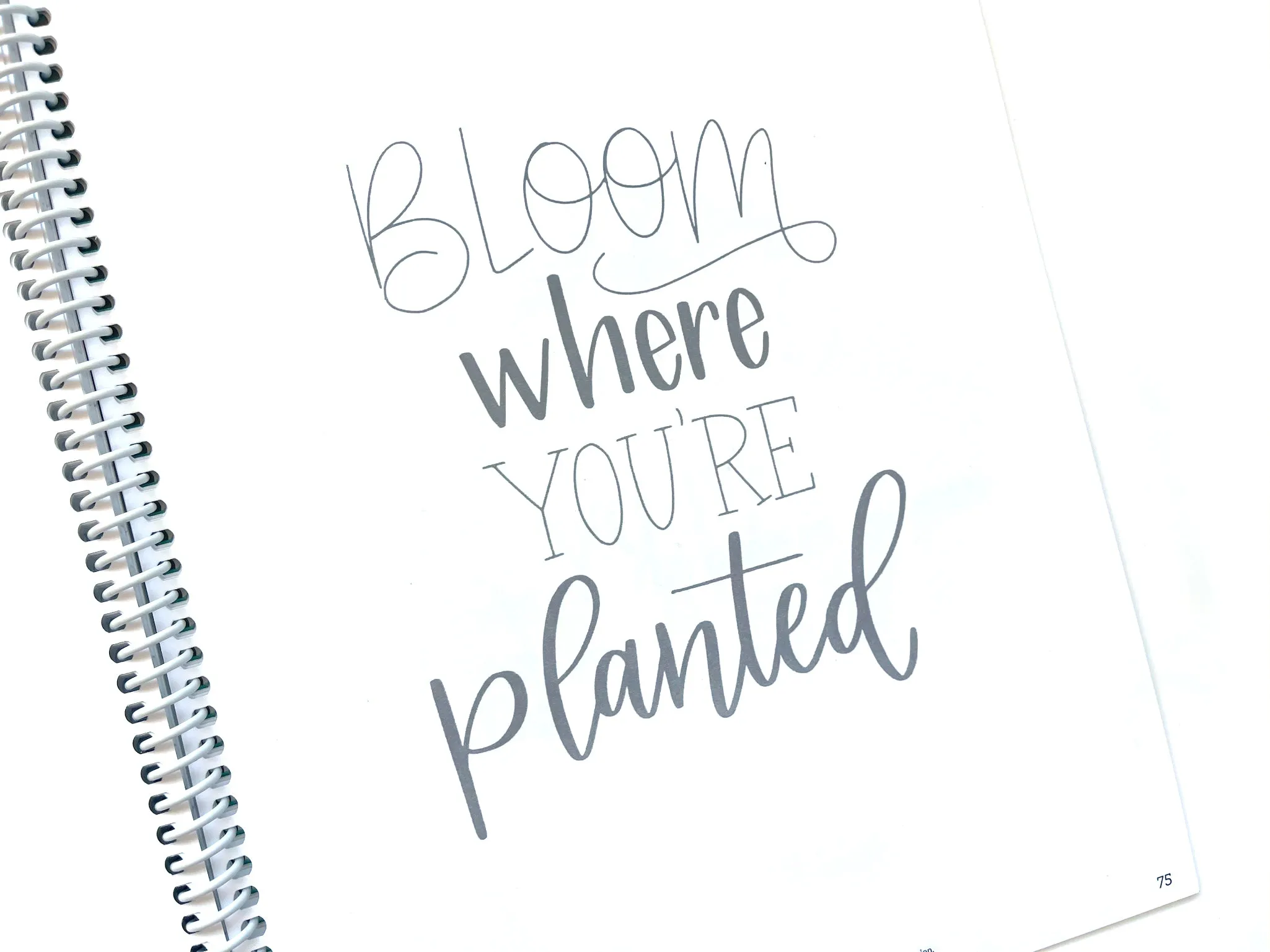 Mindful Lettering for Fun Kit: Plant Edition