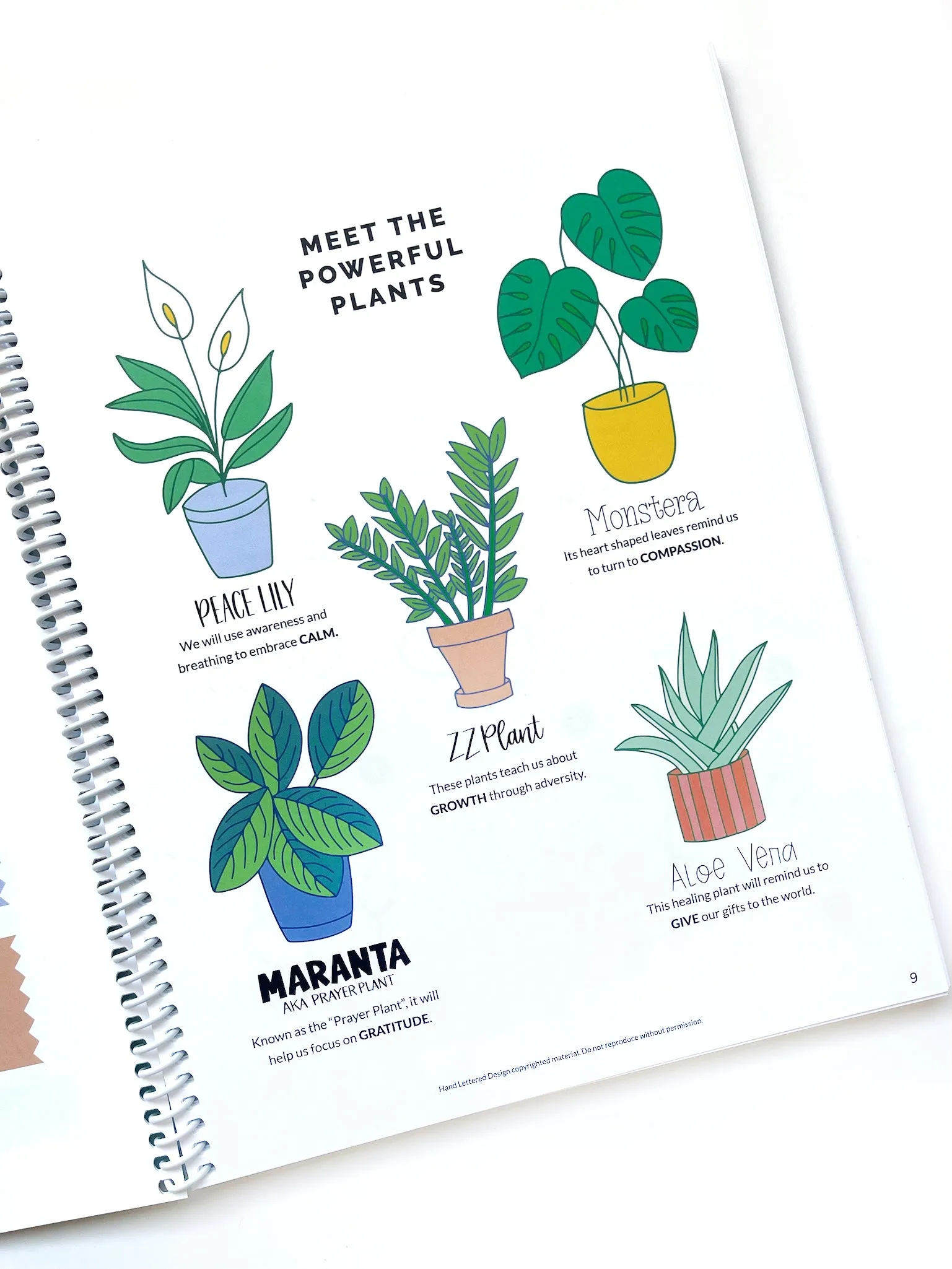 Mindful Lettering for Fun Kit: Plant Edition