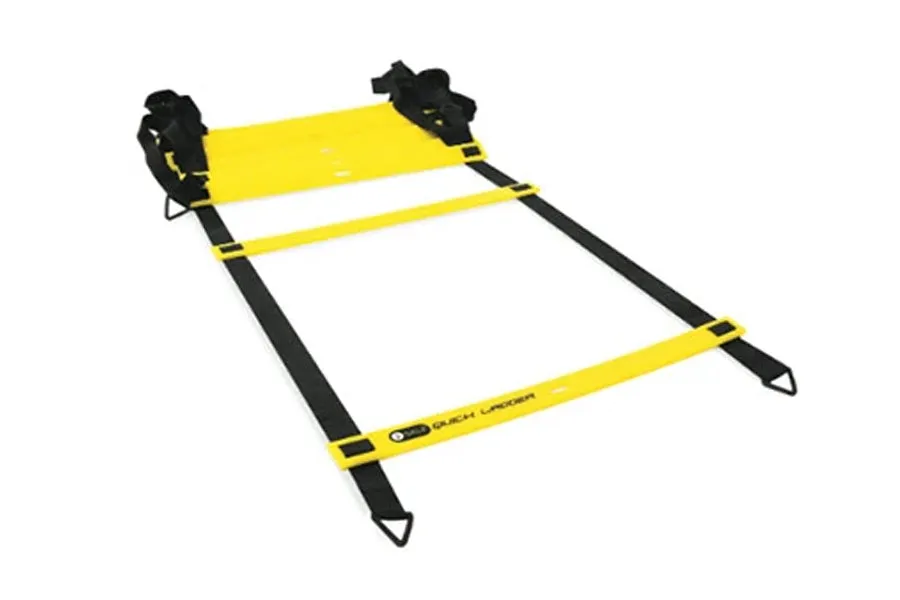 SKLZ Quick Ladder