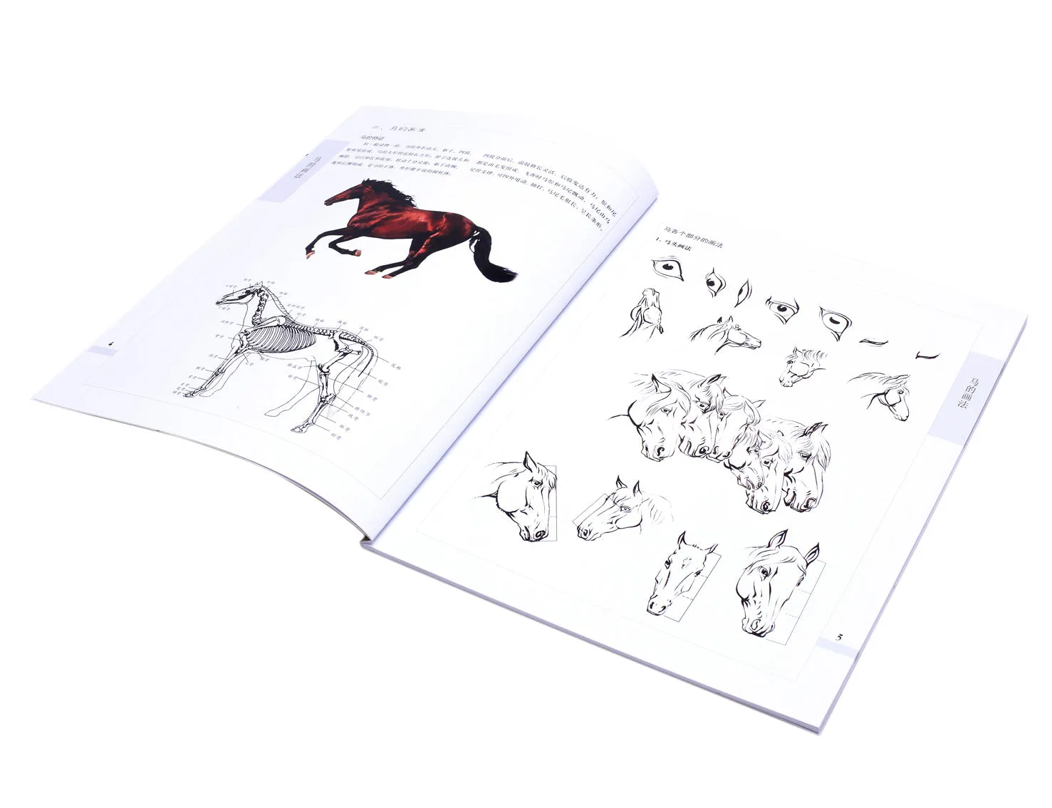 Ten Tricks in Chinese Sumi-e Painting - Horse