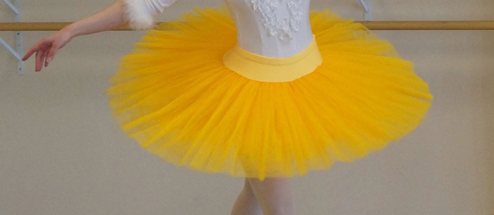 The Allegra Practice Tutus