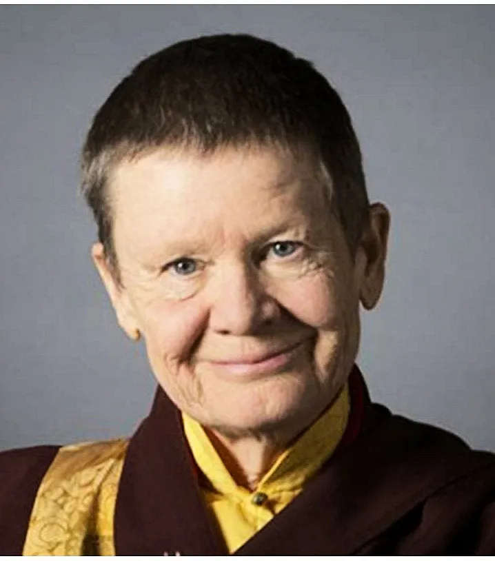 The Fearless Heart: Audio Teachings (CD's) by Pema Chodron