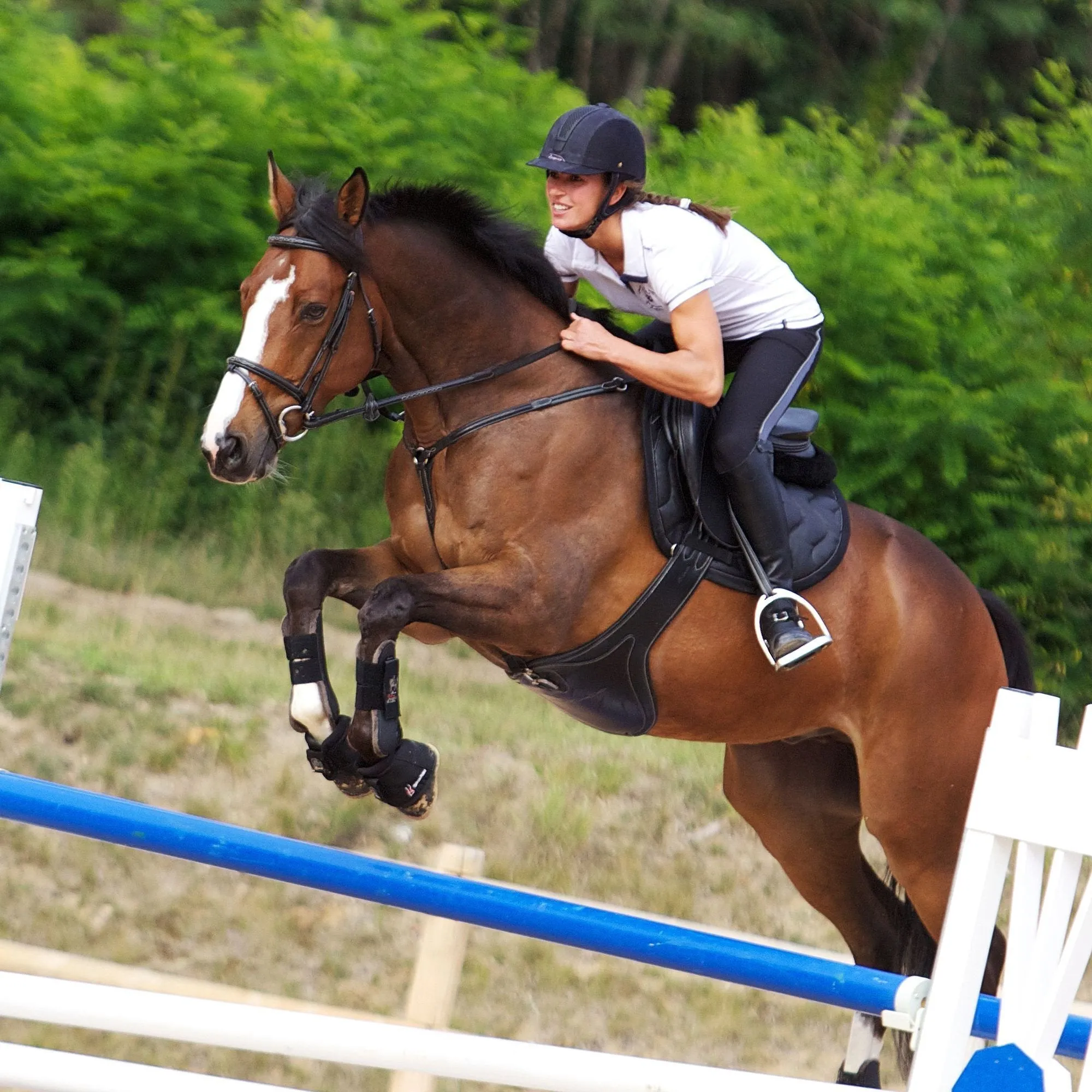 Tinckle Horse Riding Saddle, Cloth for Horses