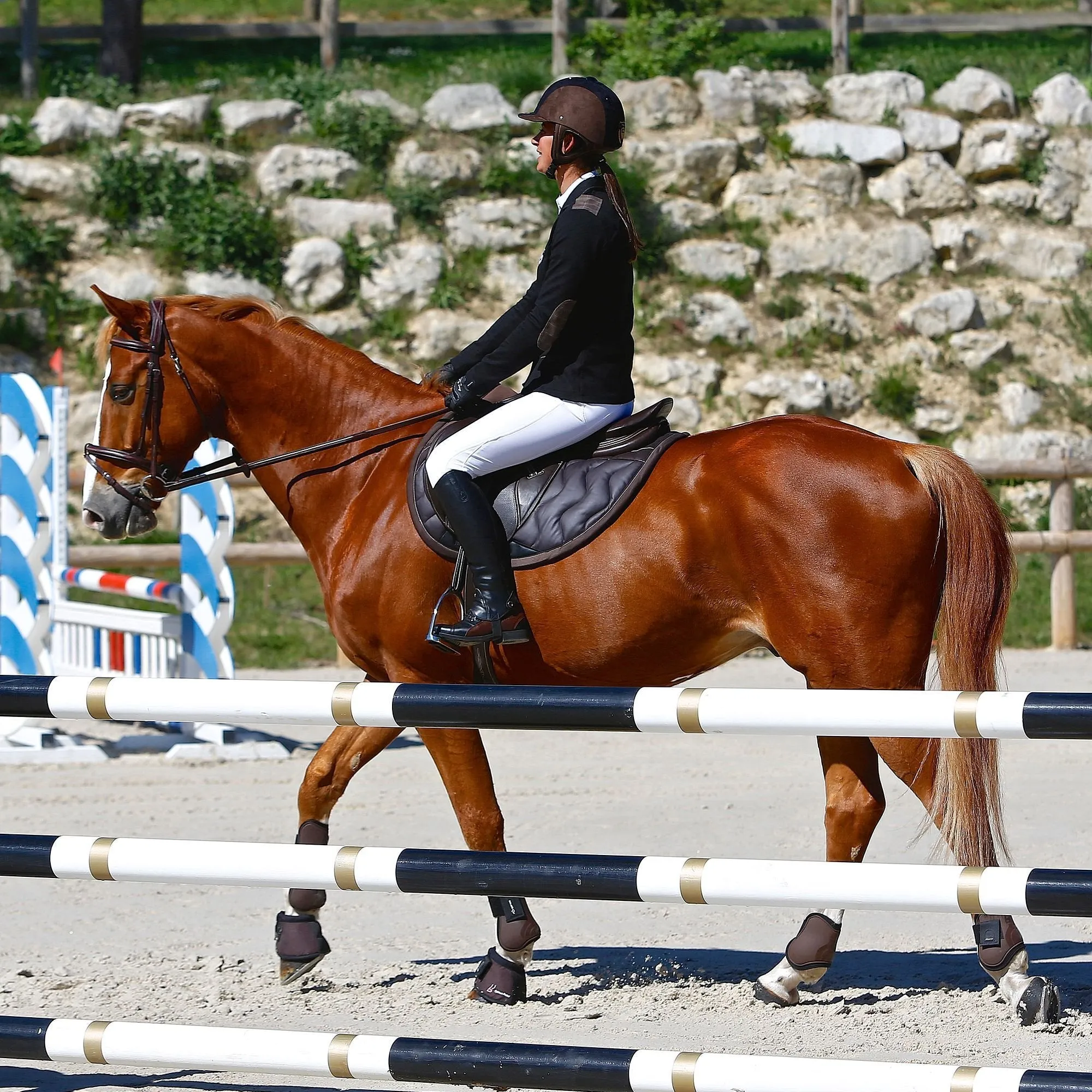 Tinckle Horse Riding Saddle, Cloth for Horses