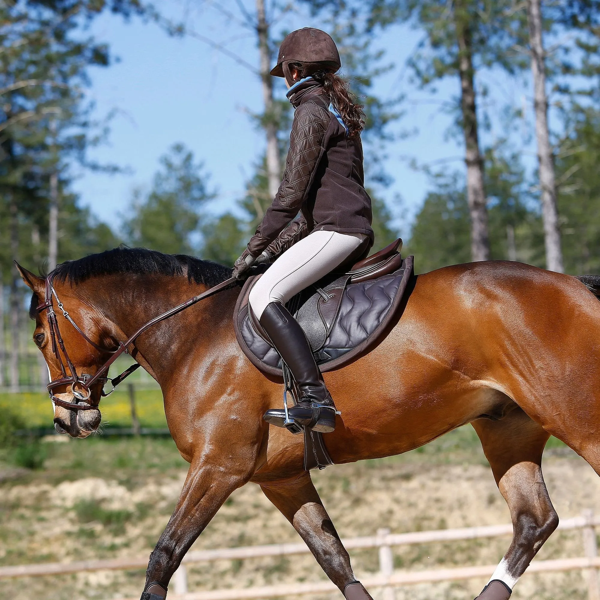 Tinckle Horse Riding Saddle, Cloth for Horses