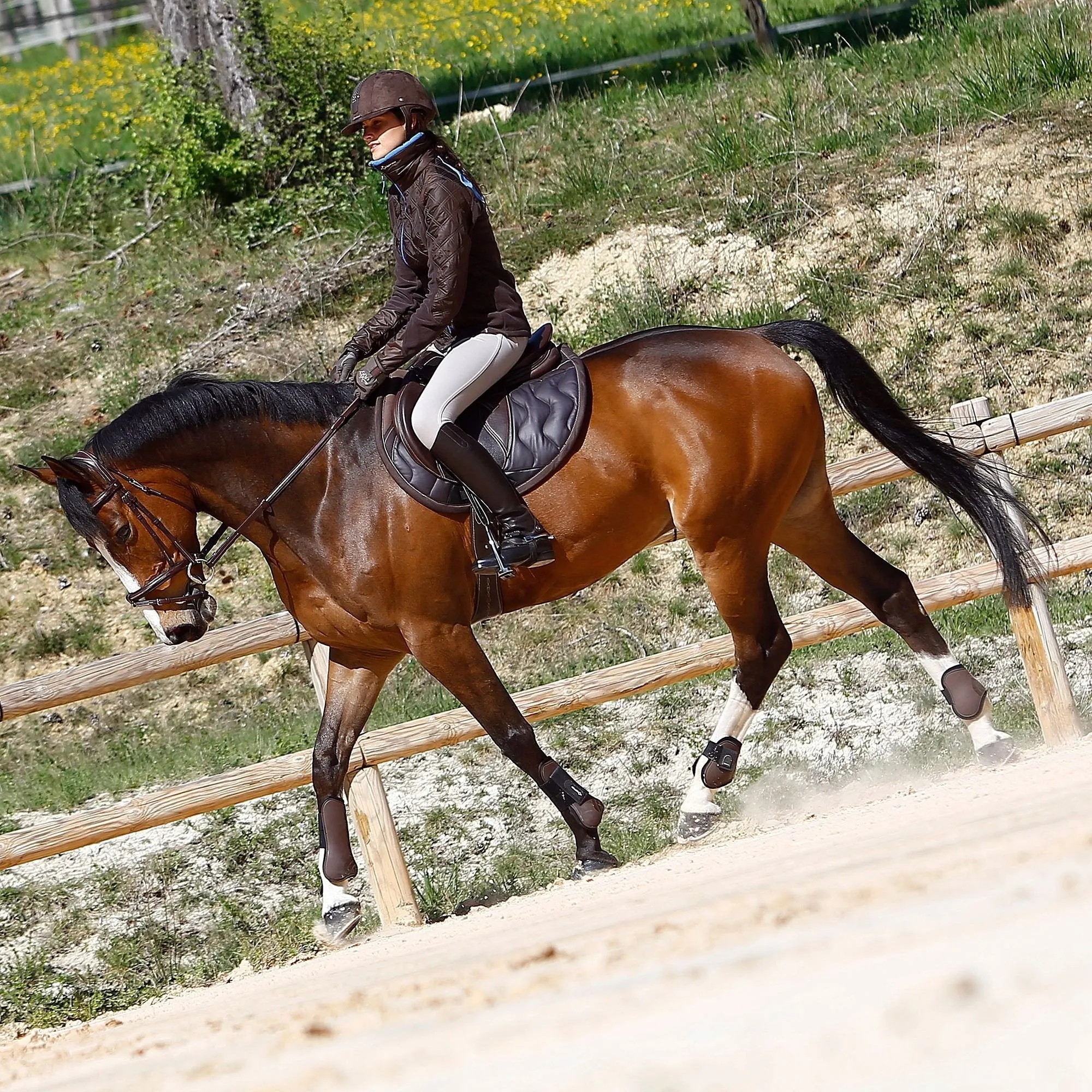 Tinckle Horse Riding Saddle, Cloth for Horses