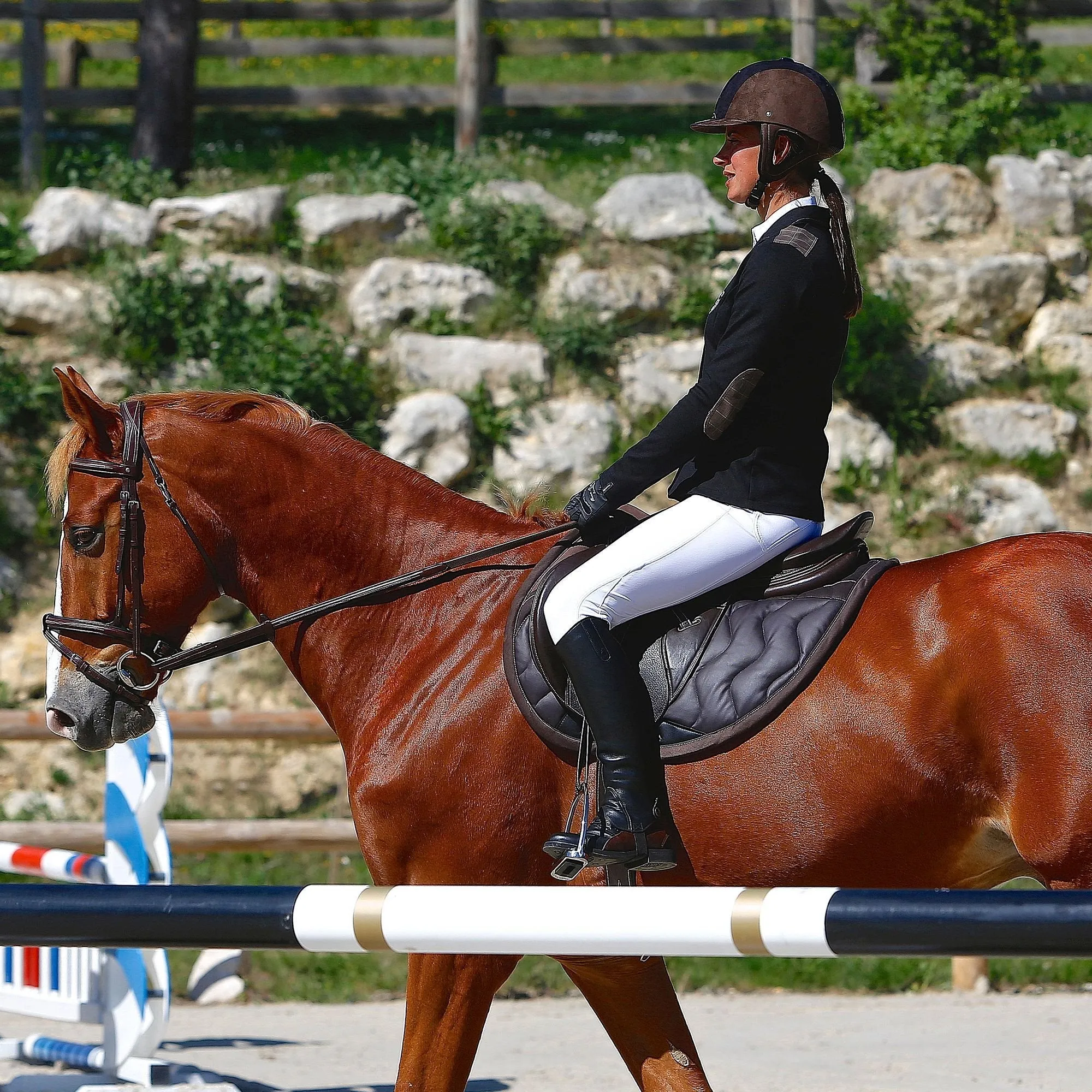 Tinckle Horse Riding Saddle, Cloth for Horses