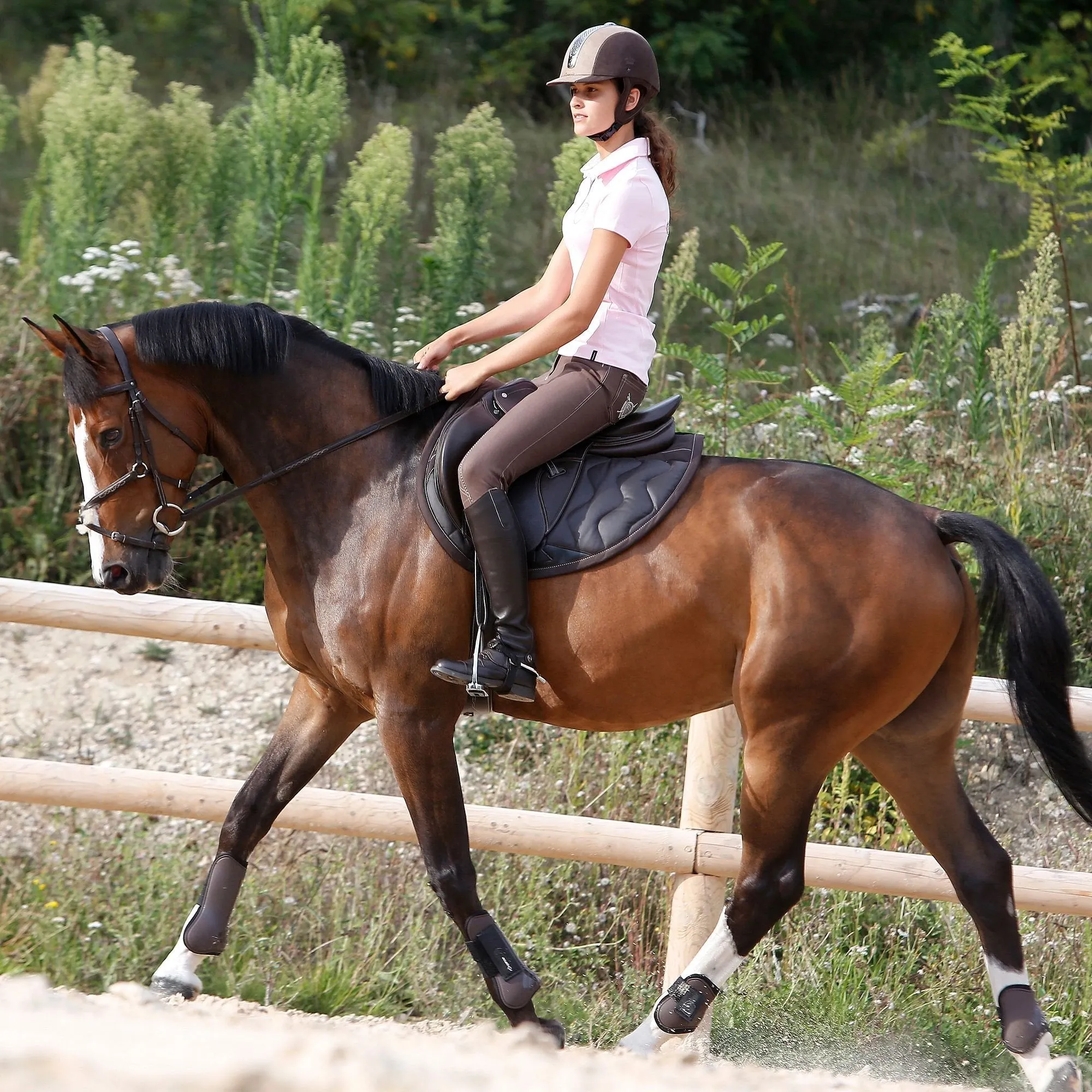 Tinckle Horse Riding Saddle, Cloth for Horses