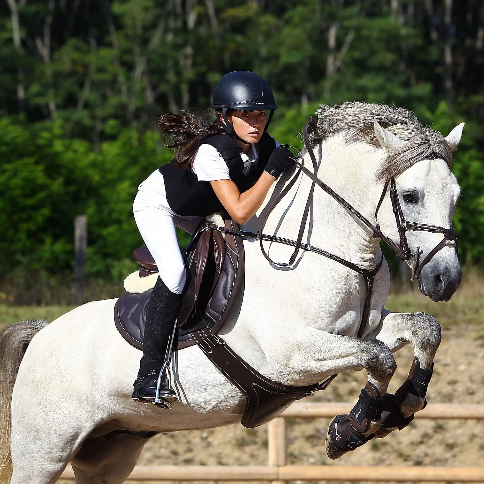 Tinckle Horse Riding Saddle, Cloth for Horses