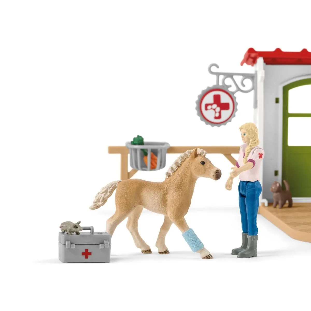 Veterinarian practice with pets