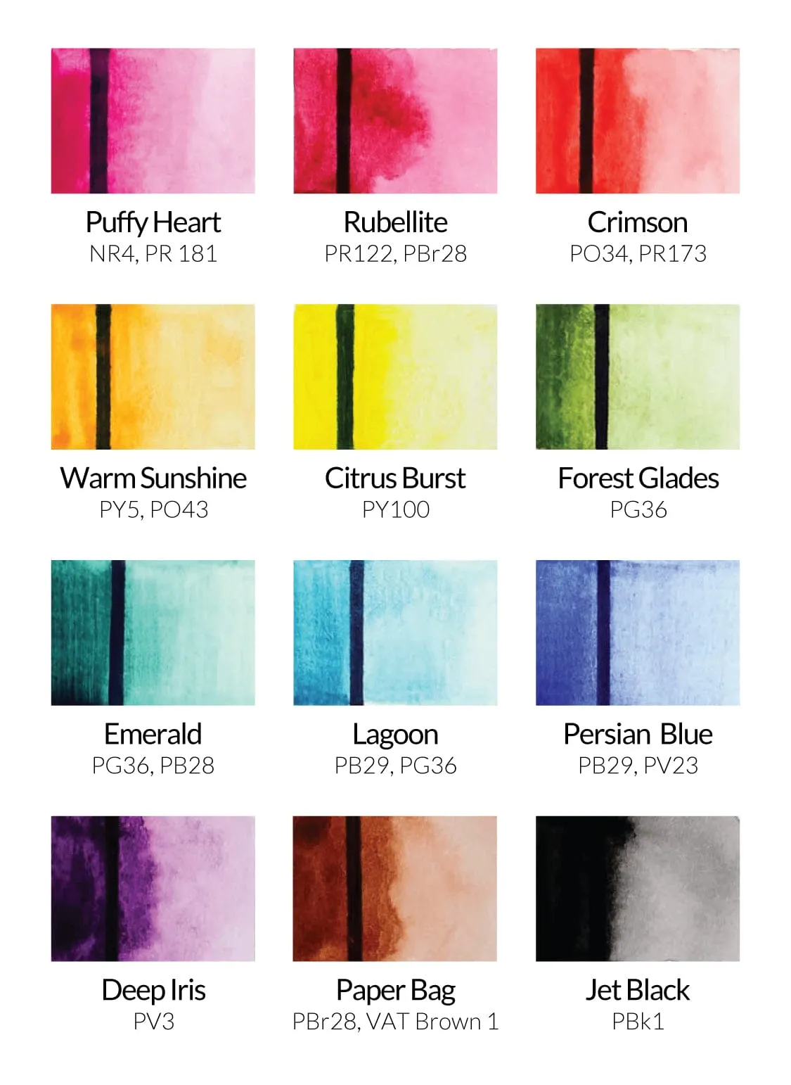 Watercolor Essential 12 Pan Set