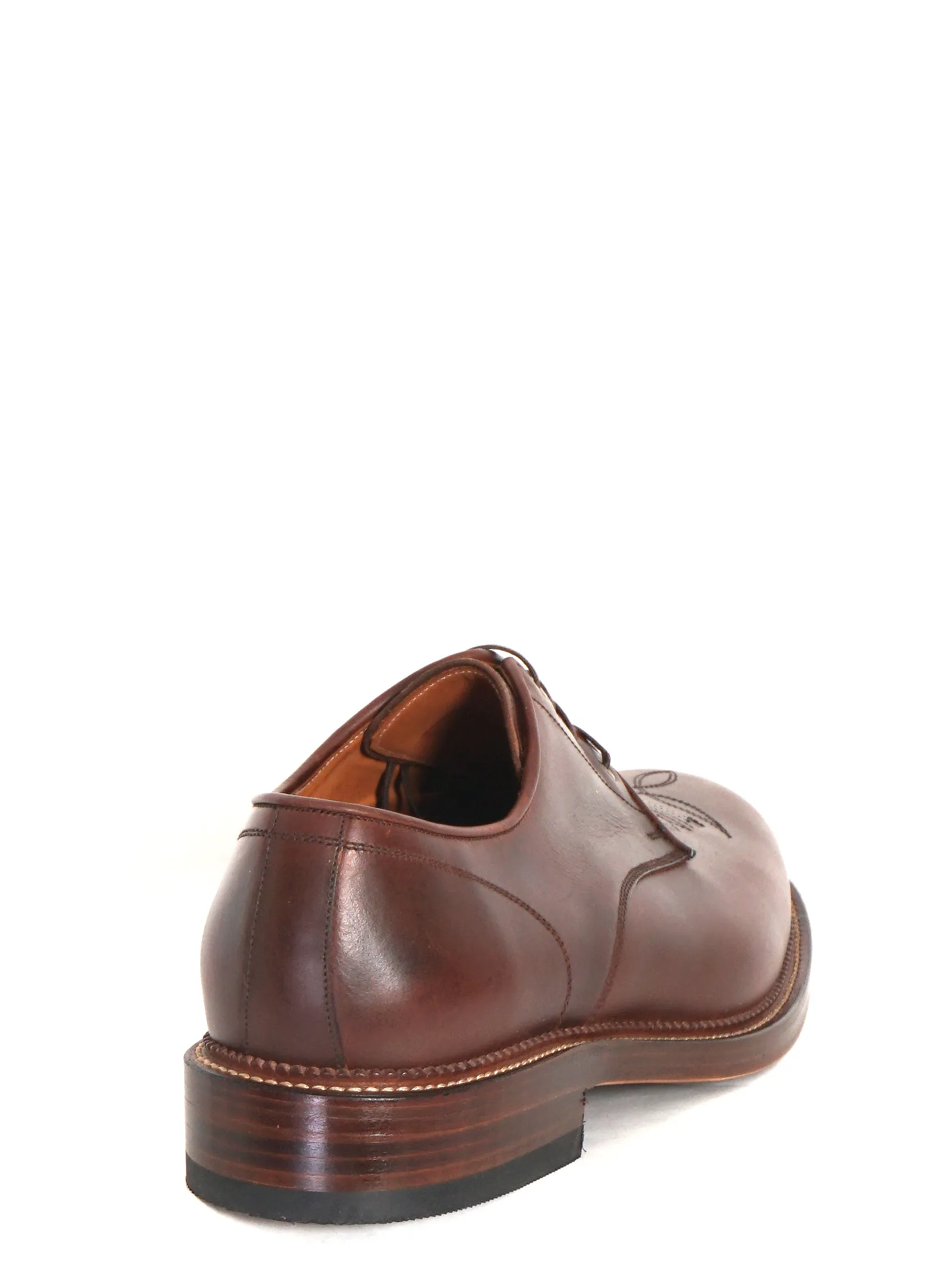 WESTERN DERBY | Chestnut