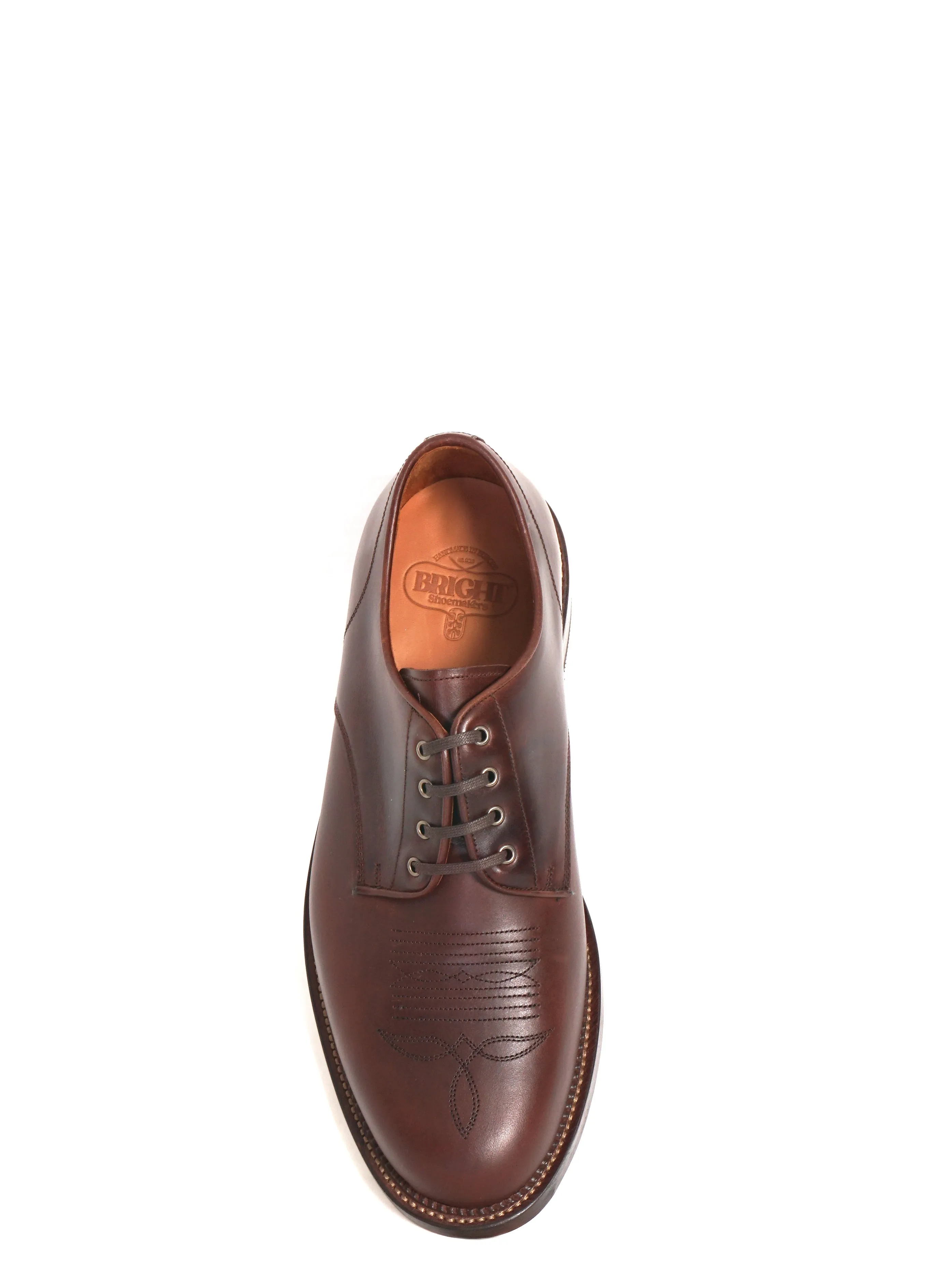 WESTERN DERBY | Chestnut